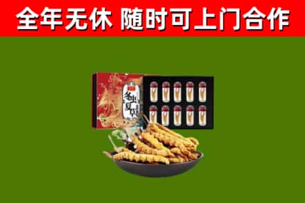 三都烟酒回收冬虫夏草礼盒.jpg